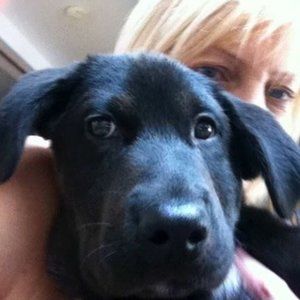 Meet your Posher, Debbie